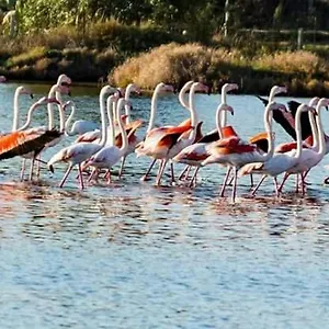 Levante Bed & Breakfast